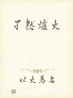 孑然炉火