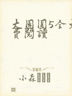 大团圆5全文免费阅读