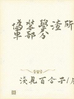 伪装学渣所有开车部分