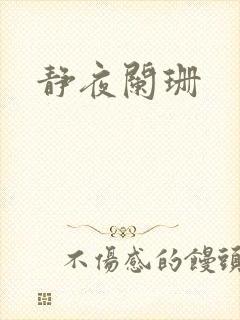 静夜阑珊
