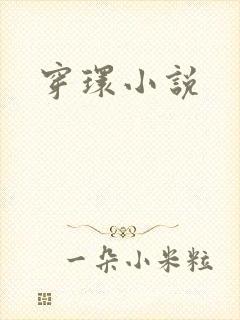 穿环小说