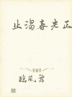 止渴春光正好封面