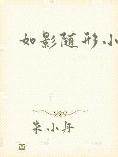 如影随形小说