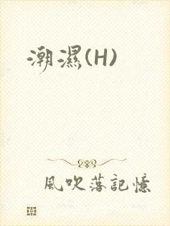 潮湿(H)