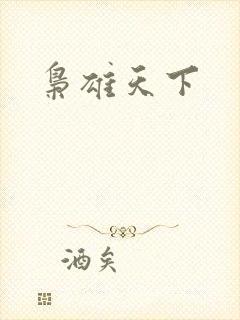 枭雄天下封面