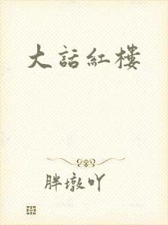 大话红楼封面