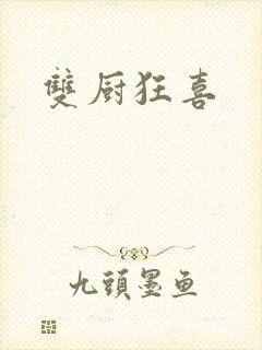 双厨狂喜封面
