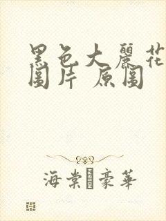 黑色大丽花真实图片 原图