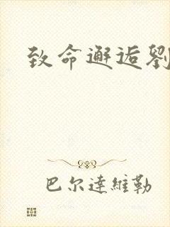 致命邂逅刘小寐封面