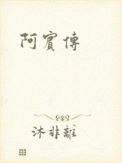 阿宾传封面