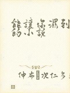 能让你湿到不行的小说
