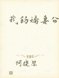 我的娇妻公务员