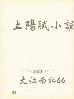 上阳赋小说