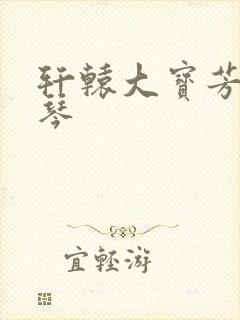 轩辕大宝芳菲雅琴