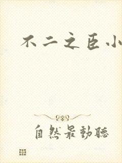 不二之臣小说