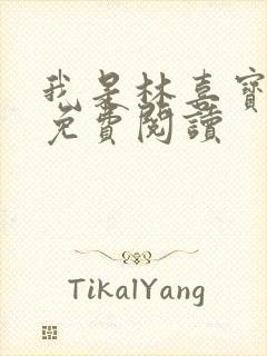 我是林喜宝小说免费阅读封面