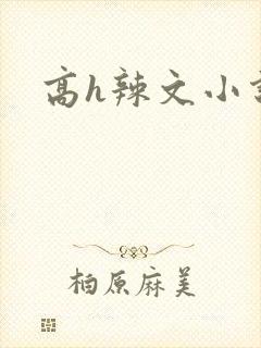 高h辣文小说