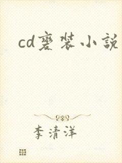 cd变装小说封面