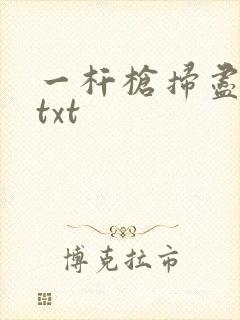 一杆枪扫尽全家txt