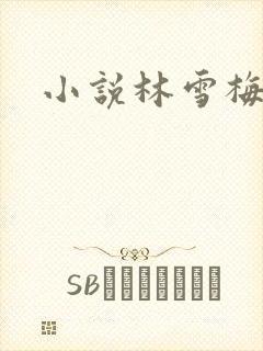 小说林雪梅