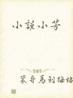 小说小芳