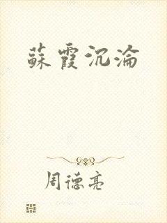 苏霞沉沦封面