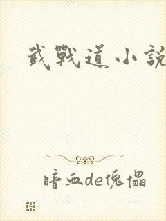 武战道小说