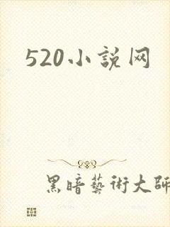 520小说网封面