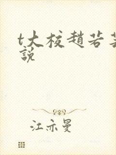 t大校赵若芸小说封面
