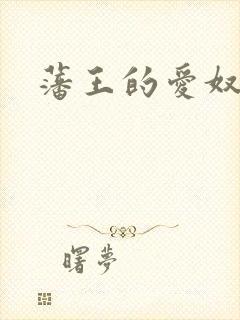 藩王的爱奴