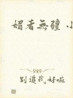 媚者无疆 小说