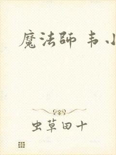魔法师 韦小宝封面