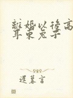 离婚以后高干 耳东兔子