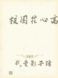 校园花心高手