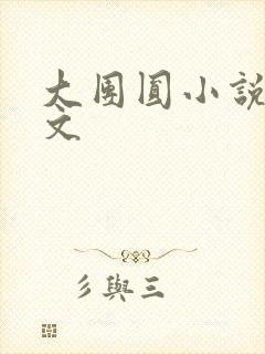 大团圆小说集全文