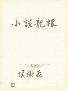 小说龙根