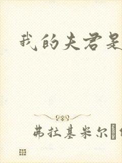 我的夫君是冥王