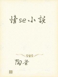 情se小说