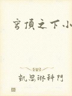 穹顶之下小说封面