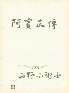 阿宾正传封面
