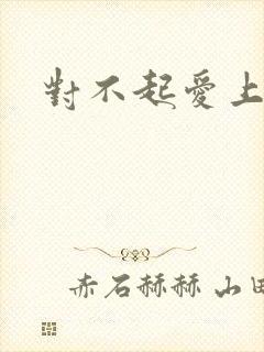 对不起爱上你