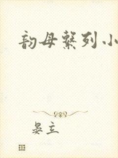 韵母系列小说