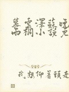 慕云泽苏晚晴夏雨桐小说免费阅读