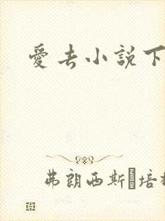 爱去小说下载网