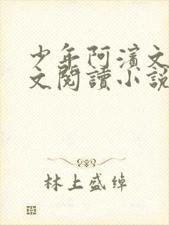 少年阿滨文全全文阅读小说封面