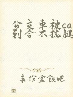 公交车被cao到合不拢腿视频封面