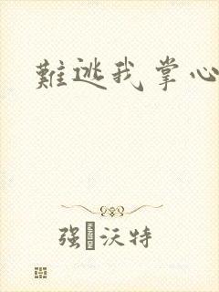 难逃我掌心封面
