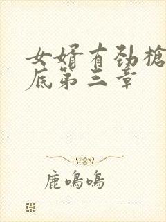 女婿有劲枪枪到底第三章封面