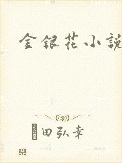 金银花小说乐可