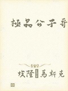 极品公子哥封面